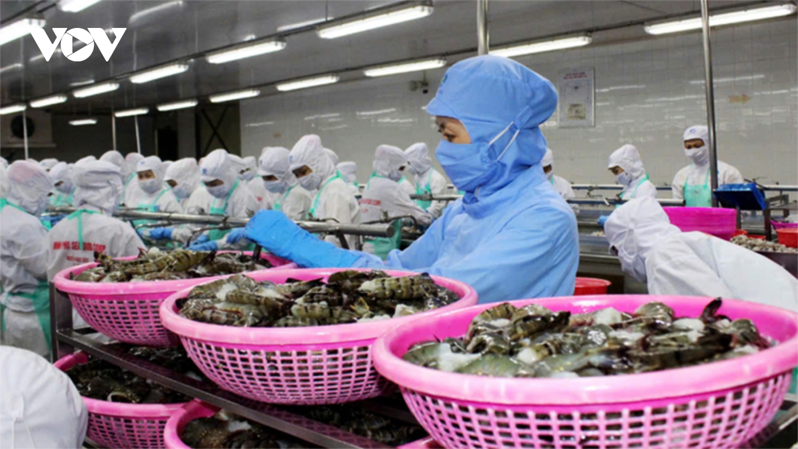 Seafood exports surpass US$11 billion in 2025